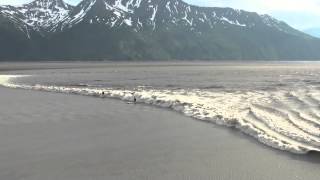 Surfing The Bore Tide Turnagain Arm 6 26 13 [upl. by Orji]