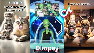 1 HOUR  New Dimpey6 Shorts Compilation 2024  Funny Dimpey TikToks Video [upl. by Bayly257]