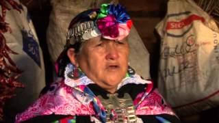 MAPUCHE DUNGUN  La Palabra María Teresa Panchillo  poeta mapuche [upl. by Alius916]