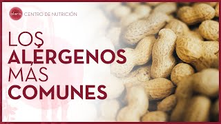 Los alérgenos más comunes  Introducción a las alergias e intolerancias alimentarias [upl. by Johnsson]