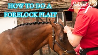 HOW TO PLAIT A FORELOCK [upl. by Vaules]