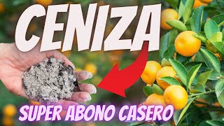 ⭐ CENIZA Abono para Floración y Crecimiento 🍒 Fertilizante Casero Orgánico para Frutales y Flores [upl. by Ahsiela609]