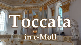 improvisierte Toccata in cMoll  Gregor Engelhardt Basilika St Martin in Wiblingen Winterhalter [upl. by Solana]