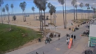 Venice Beach Webcam  Venice Beach Live Cam  venice beach live boardwalk cam [upl. by Anialad760]