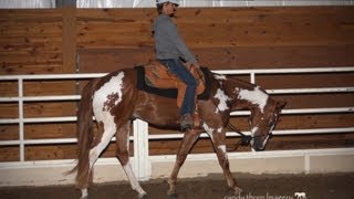 SOLD I Got This  2011 APHA Sorrel Overo Gelding [upl. by Hercules421]