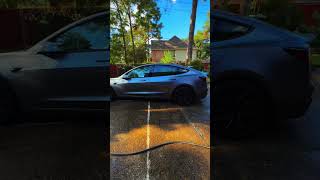 New Tesla Model 3 Performance Quicksilver automobile teslamodel3performance teslacar shorts [upl. by Atinuahs538]