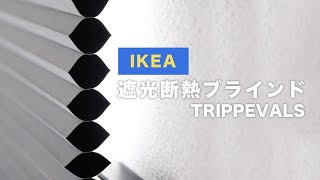 【暑さ寒さ対策に】IKEAの遮光ハニカムブラインドがシンプルで使いやすい【レビュー】 [upl. by Yemaj]