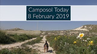 Camposol Today 8 February 2019 camposolspainexpatinmazarron [upl. by Acimaj]