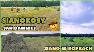 Tradycyjne składanie siana w KOPKI 🌾 Jak to się kiedyś robiło [upl. by Niwroc838]