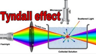 class 12 Tyndall effect surface chemistry [upl. by Iniretake]