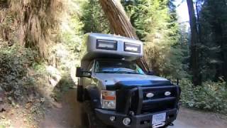 EarthRoamer Through Huge Ancient Redwood Trees [upl. by Nira]