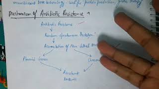 Mechanism of Antibiotic Resistance Microbiology [upl. by Avah]