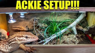 How to setup a naturalistic ACKIE MONITOR tank The RIGHT WAY [upl. by Frances716]