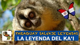 Paraguay Salvaje Leyenda del kai [upl. by Gnep]