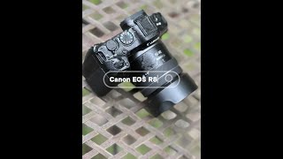 Canon EOS R8 with Canon RF 2450 f4563 review [upl. by Cinom]