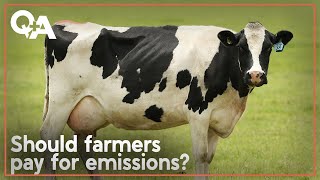 Fieldays Should farmers pay for their emissions  QA 2024 [upl. by Barrada]