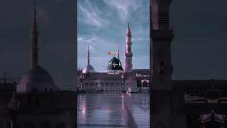 Paigham Saba Lai Hai Darbar Nabi Se🥹  Beautiful Naat WhatsApp Status  Islamic Edits💫 shorts [upl. by Otrebliw819]