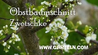 Obstbaumschnitt für Zwetschke im Jänner und Februar [upl. by Norri]