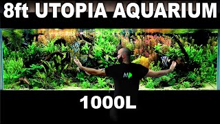 The 8ft quotUtopiaquot Aquarium EPIC 1000L Build over 300 Fish Aquascape Tutorial [upl. by Oca334]