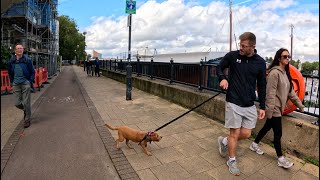 Relaxing London River Walk Along Serene Battersea Thames Path ASMR 4K [upl. by Atterol145]