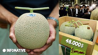 Why Is Yubari King Melon So Expensive  Expensive [upl. by Michi814]