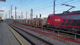 Sichtung aus Marchtrenk Railpool Stern und Hafferl 187 3330 mit einem Holzwagen Richtung Salzburg [upl. by Anallise]