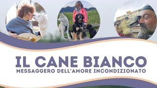 IL CANE BIANCO [upl. by Eirffej]