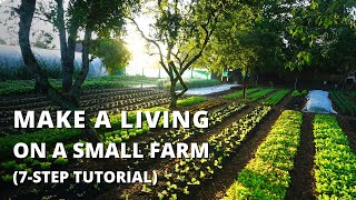 How to Start a Farm From Scratch Beginners Guide to Growing Vegetables for Profit [upl. by Htrag]