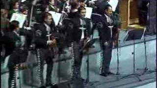 MARIACHI VARGAS DE TECALITLAN POPURRI VERACRUZANO [upl. by Lletnahs]