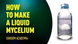 🍄 Shroom Academy how to make a liquid mushroom culture or liquid mycelium [upl. by Ecirpak95]