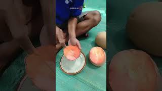 REVIEW SAWO RAKSASA mameysapote [upl. by Lona]