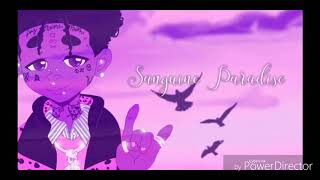 Lil Uzi Vert  Sanguine Paradise Slowed [upl. by Martz]