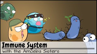 Immune System [upl. by Wilhelm]