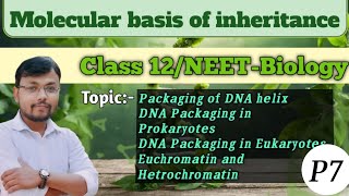 Molecular basis of inheritancePart 7Packaging of DNA helix 🧬 class12 neet biology [upl. by Funk]