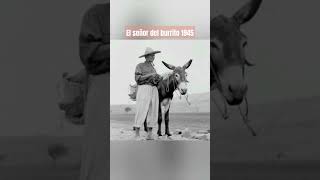 El señor del burrito 1945 [upl. by Irod]