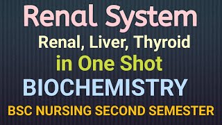 Renal System in Biochemistry ONE SHOT [upl. by Urian170]