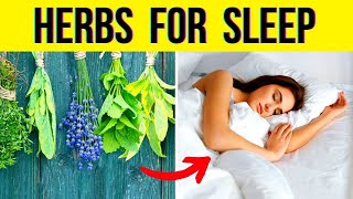 Best Herbs to Improve Sleep  Strongest Sleep Aiding Herbs [upl. by Hertzog]