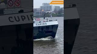 Binnenvaartschip Cupido Antwerpen schelde wereldvandebinnenvaart binnenvaart scheepvaart [upl. by Leelahk875]