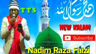 Nadim Raza Faizi madhupuri new kalam Ya Nabi Ya Nabi Ka wazifa [upl. by Beare455]