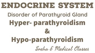 Disorders of Parathyroid Gland  Hyperparathyroidism amp Hypoparathyroidism in Hindi [upl. by Omle59]