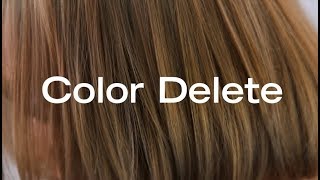 How To Remove Permanent Haircolor In a Single Step  Color Delete [upl. by Hezekiah867]