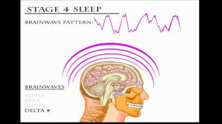 REM Sleep Aspects [upl. by Aliuqat]