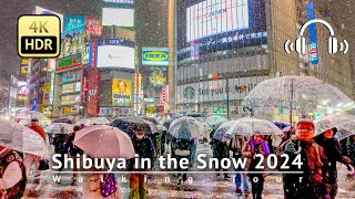 Heavy Snow Warning in Tokyo  Shibuya in the Snow 2024 Walking Tour 4KHDRBinaural [upl. by Aniles]