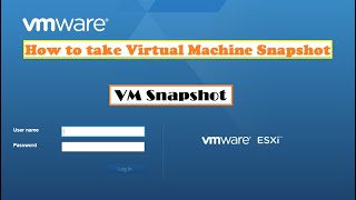 How to take Virtual Machine Snapshot in Vmware ESXi or ESX [upl. by Sungam]