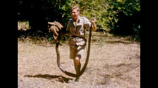 Young Attenborough Catches a Python  Attenborough90  BBC Earth [upl. by Ayotyal]