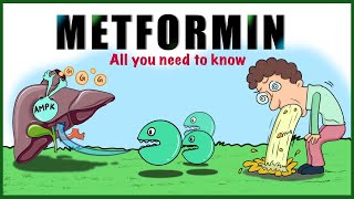 Metformin Uses Mechanism of action Side effects Contraindications [upl. by Bethena987]