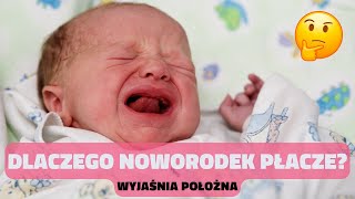 7 Najczęstszych przyczyn płaczu noworodka  wyjaśnia położna [upl. by Ateekram]