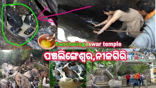 Panchalingeswar Temple Panchalingeswar Mandir Video NilagiriBalasoreOdishaIndia [upl. by Llimaj562]