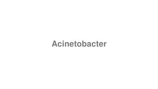 How to Pronounce quotAcinetobacterquot [upl. by Derreg]