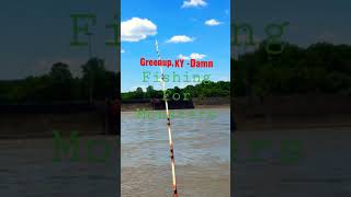 Greenup Kentucky Damn  Fishing [upl. by Nylleoj]